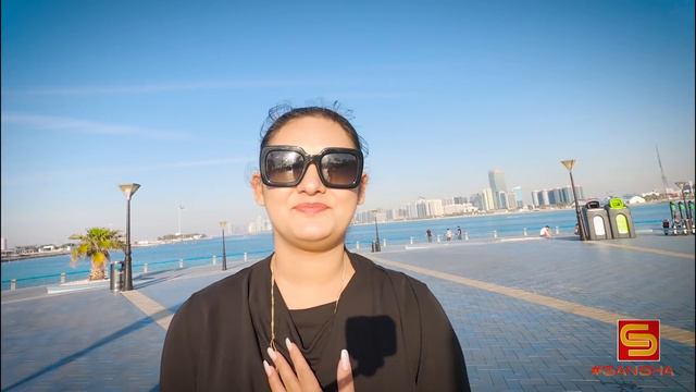 Anniversary Trip - Part 2 !! Abu Dhabi / Dubai Vlog смотреть онлайн