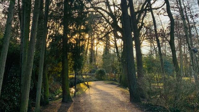 I Love You Goodbye by Nina Girado смотреть онлайн