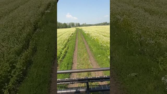 5 июля 2024 г. смотреть онлайн