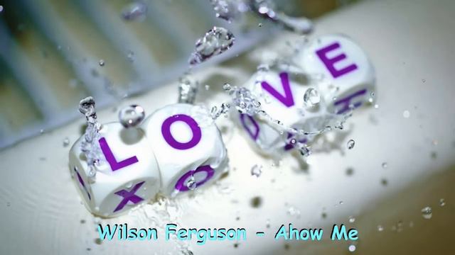 Wilson Ferguson - Show Me ( Remix 2015 ) Duply смотреть онлайн