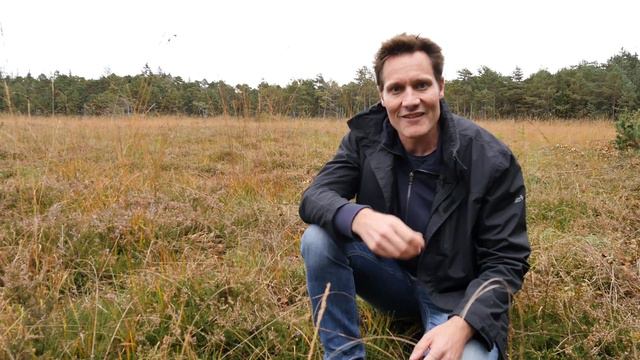 Klima schützen: Moore in Bayern retten und renaturieren! смотреть онлайн