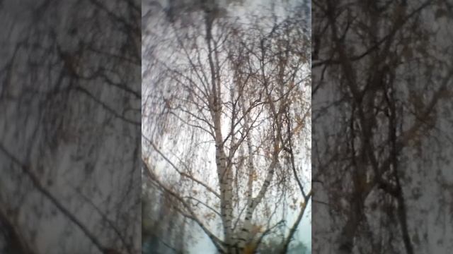 "Возвращайтесь, друзья ! " Из репертуара А. Кальянова. смотреть онлайн