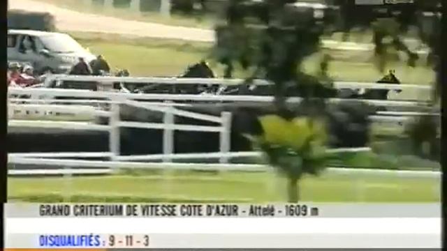 Grand Criterium De Vitesse 2003 -Gigant Neo
