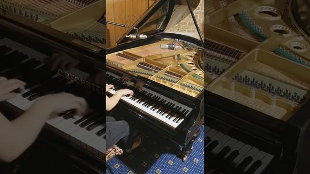 Рояль Bechstein 1917г.в. после капитального ремонта смотреть онлайн