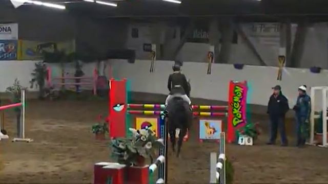 EQUIMAGE Mega des Delices 115 Corminboeuf 2013 смотреть онлайн