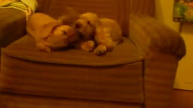 Male BERTO & BERTI смотреть онлайн