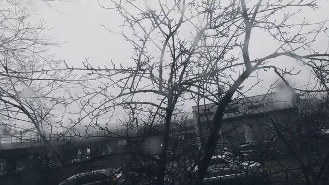 VID 20240323 073723 Мой дом открыт (Теодор Ретке)...Павел Васильев Лахтинский