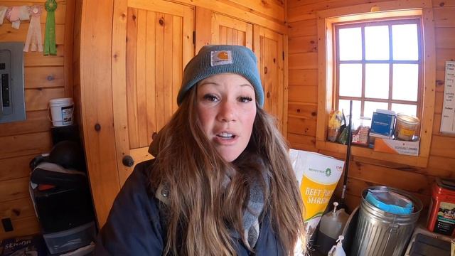 DEALING WITH ULCERS & GIRTHY HORSES - Another Day in the Life + Barn Chores • WEEKLY EQUESTRIAN VLO смотреть онлайн