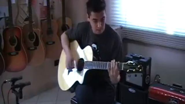 Breedlove Ed Gerhard Signature - Demo Strum