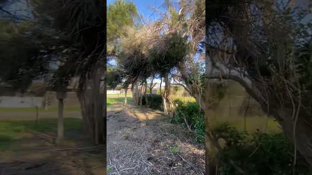 20 Marlin Street, Smiths Beach смотреть онлайн
