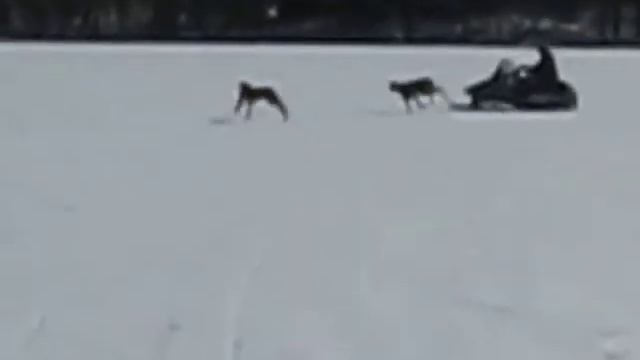 Keeji, Shinee with Taboo 02 17 11 смотреть онлайн