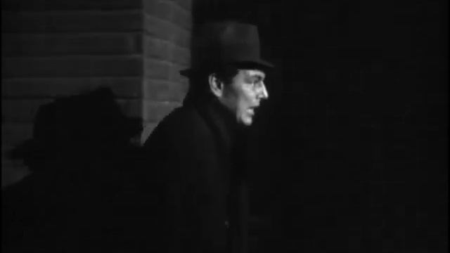 Chaotic Youth Don't Take Their Shit смотреть онлайн