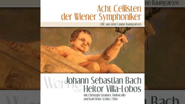 Die Fliegerflöte (Assobio a Jato) für Flöte und Violoncello: Adagio (Live) смотреть онлайн