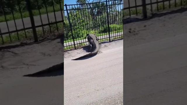 прикол смотреть онлайн