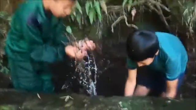 AURELIO BAYAS-EL MEDIO AMBIENTE CUANDO NO SE LO CUIDA смотреть онлайн