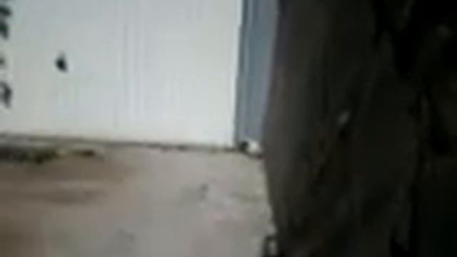 μπουμπου και η λιλη