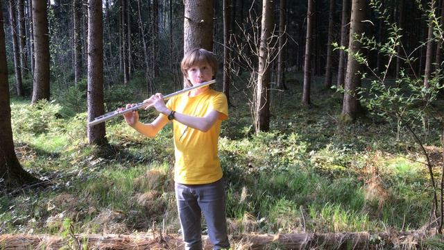 Fabian Johannes Egger ( Komponist und Interpret): "Balance" für Flöte solo смотреть онлайн