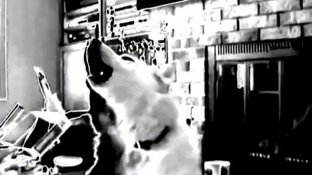 New! Vagabond Bones Video By Helix