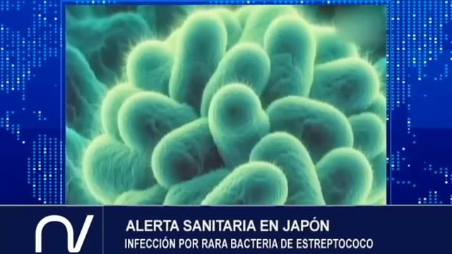 Emisión Estelar - 25 de marzo de 2024 смотреть онлайн