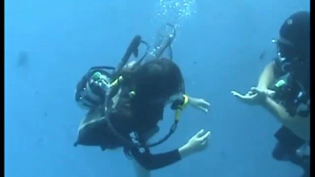 Noa diving in Dolphin Reef Eilat смотреть онлайн