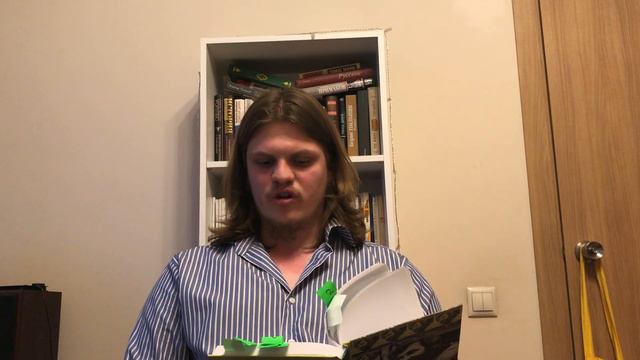 Иван Ермолаев о поэте Геннадии Григорьеве смотреть онлайн