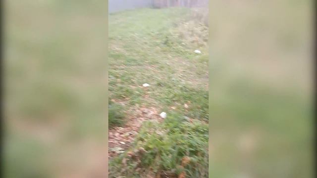 Таксист Григорий 3 смотреть онлайн