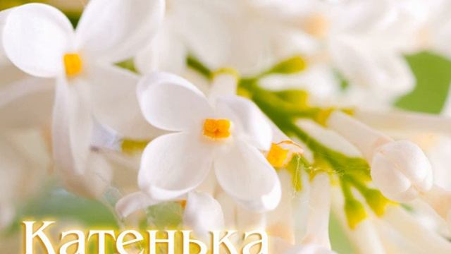 АХ КАТЮША , АХ КАТЮШКА....авт.Л.АСТАШОВА.....исп.В.СИДЯКИН смотреть онлайн