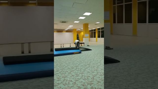 Отрабатывали сальто в перед с разбега :) смотреть онлайн