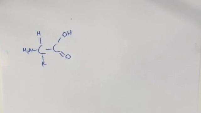 Biocatalysis of Pharmaceuticals смотреть онлайн