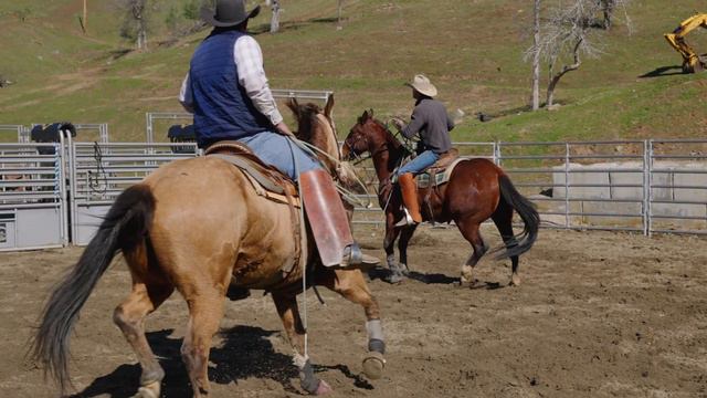 16 Year old, Jasper Frost on Painted Sky - Daily Bronc Riding | Rodeio смотреть онлайн