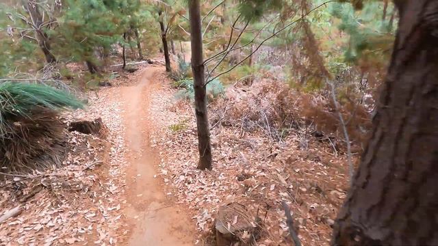 Eoin and brendo busting the blue at Murray Valley #mtb #spectral #rockymountain смотреть онлайн
