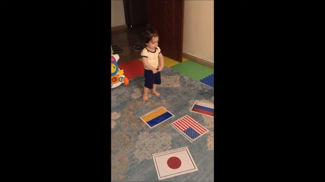 14 Months Old Baby Knows Flags (Glenn Doman Theory)