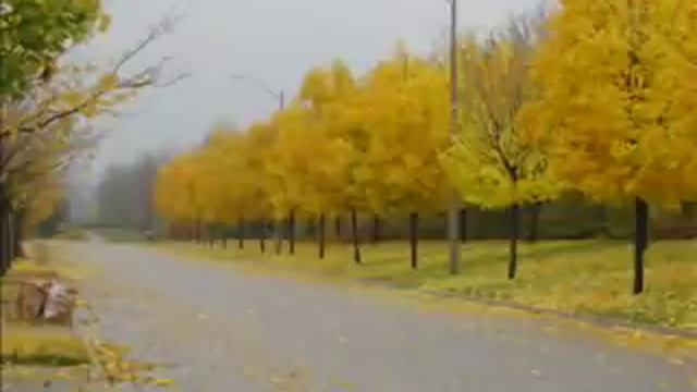 Payeez Talaayi( Golden Autumn ) смотреть онлайн