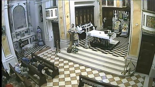 Messa concelebrata. Mercoledi 19 agosto 2020 смотреть онлайн