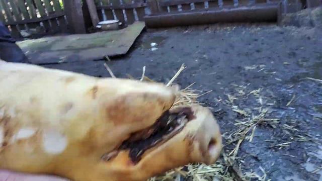 Не розстраюйся ))) Прикол. смотреть онлайн