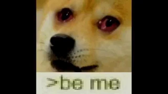 doge war crimes смотреть онлайн