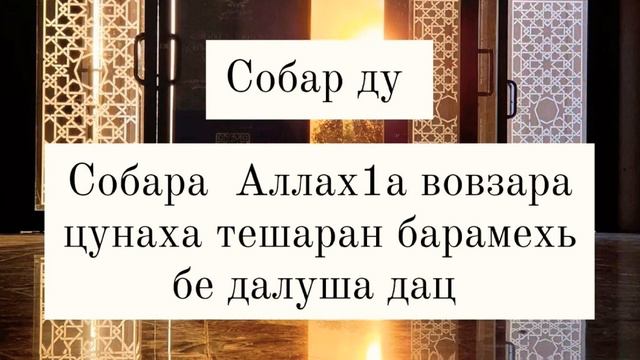 Шейх Яхья | Собара Аллахlа вовзара цунаха тешаран барамехь бе далуша дац. смотреть онлайн