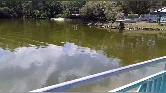 Taman Terbesar Di Tuen Mun....