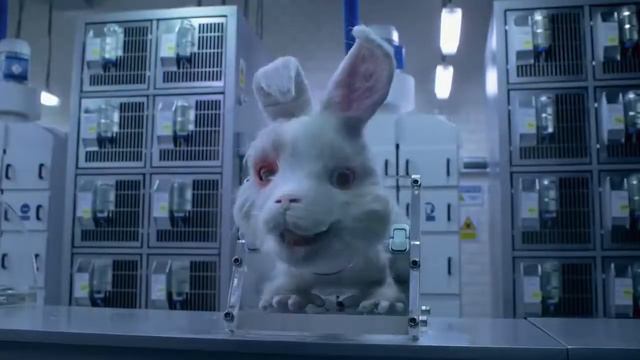 Salve o Ralph - Curta Rodrigo Santoro смотреть онлайн