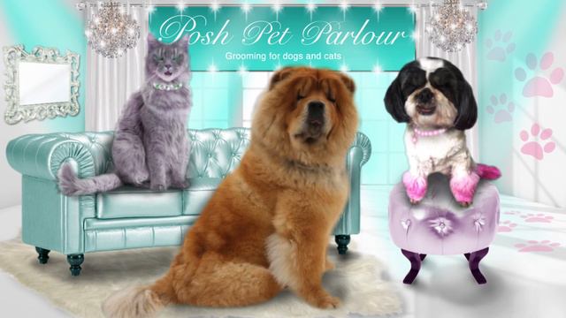 POSH PET PARLOUR COMMERCIAL смотреть онлайн
