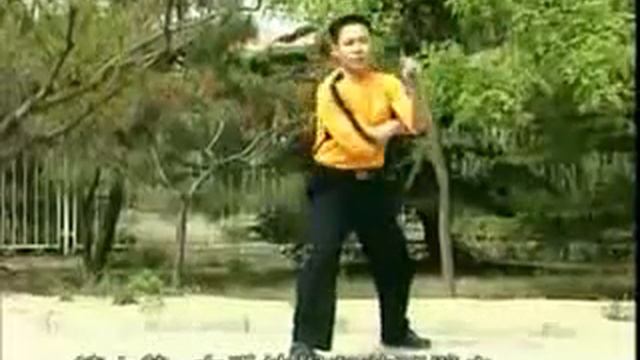 Обучающий фильм по Эр Цзе Гунь 3-часть.flv смотреть онлайн