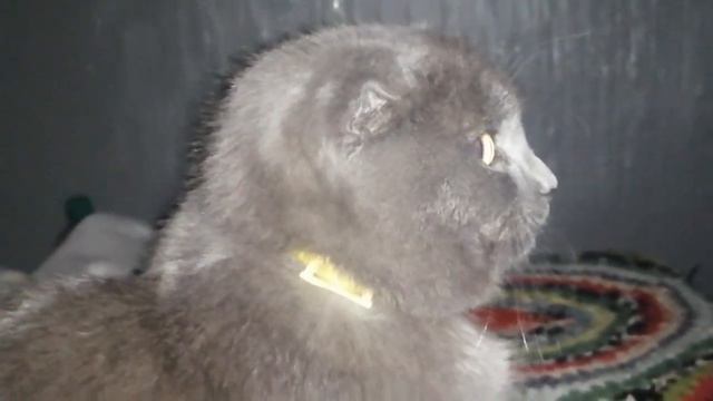 Михаил смотреть онлайн