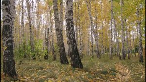 А я лягу -прилягу....