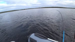 Рыбалка на Кольском | Кумжа | 1 серия