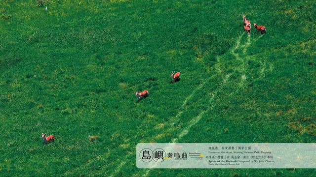 ★50 mins★ 島嶼奏鳴曲 - 齊柏林空中攝影 x 吳金黛大自然音樂 / Beyond Beauty–Taiwan from Above and Soundscape смотреть онлайн