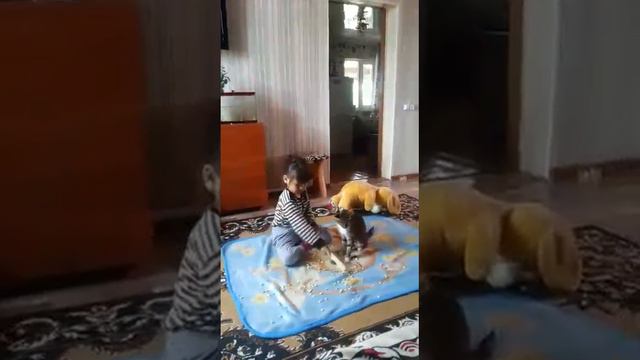 Мысыкка обал болды))))) смотреть онлайн