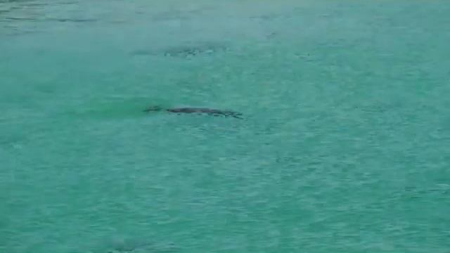 cairns visit 8th july 2012 смотреть онлайн