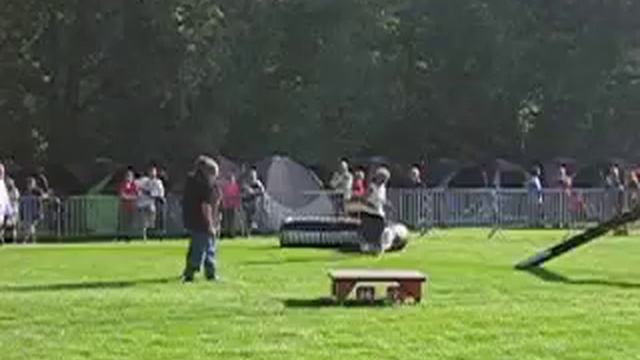 TAP agility Bonni La Petite Beauté смотреть онлайн