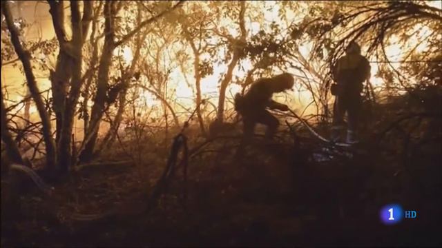 Incendios Galicia Tarde смотреть онлайн
