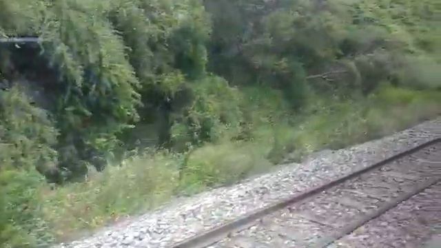 Passing Through Seddon On The Train